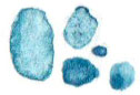 Cinq formes à l'aquarelle bleue